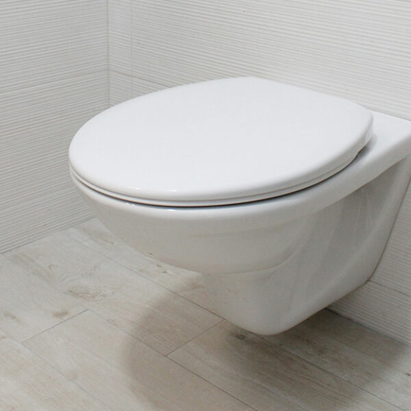 Back-to-Wall Toilets