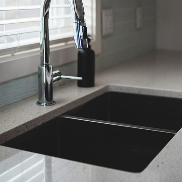 Double Bowl Sinks
