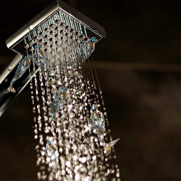Shower Sets